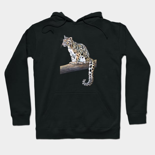 Clouded hoodie store